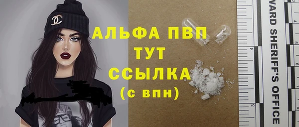 мяу мяу мука Новодвинск