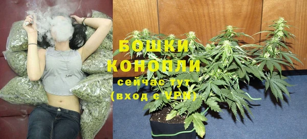мяу мяу мука Новодвинск