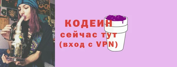скорость Новозыбков