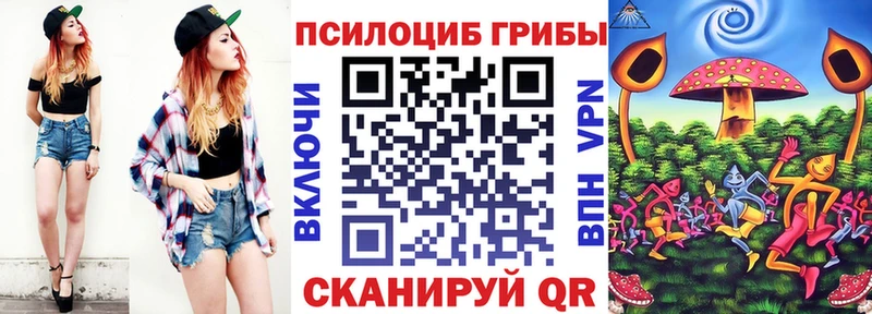 Галлюциногенные грибы Cubensis  Куровское 